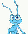*C*_Flik dem toes