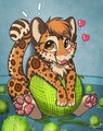 Yarn/Tennis Ball Commissions by YuniWusky