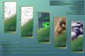 GlenSkunk's NEW 2015 Commission Price Sheet!