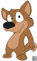 Coyote