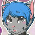 Recent Badges