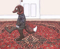 Tracking Mud On The Oriental Rug Seemed Like A Logical Move by Christaphorac