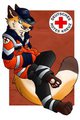 Anyone Need A Medic ?