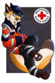 Anyone need a Medic ? V2