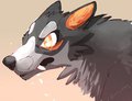 Wolf King by Kaiot