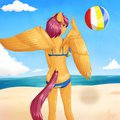 Scootaloo Beach by muraofdemons