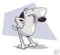That silly, silly dog!