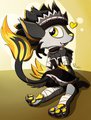 [C] A different kind of armor
