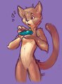 Meowcarina of Time, by miimows