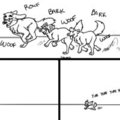 Doges