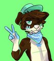 co- kodinq by karrev