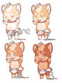 Corgi Siblings:All taken
