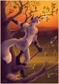 Protector Of The Forest
