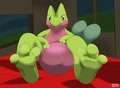 Treecko [feet] by Tychon