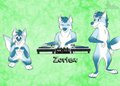 Zortex Toons