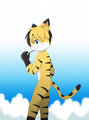 *Gift Art* Skynex