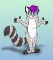 Kota Coon by Goldenrod by kotacoon