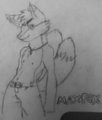 Sexy Fox(WIP)