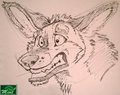 wheres my chicken tacos? by Mint