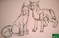 thar be wolves