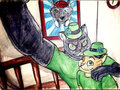 Cat Groupie