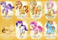 Thailand Pony Con : Collection Cards