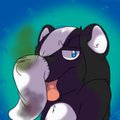 Maskedskunk Socknose