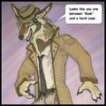 New Submission by Mint