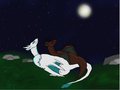 under the Moonlight