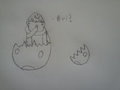 Hatching bui