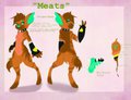 Meats Ref 2015 by GhostMeats