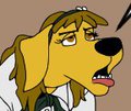 Daisy forgets again by DangerDoberman