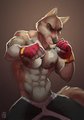 Fighter by LittleFreckles