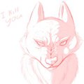 Canine Head Sketch