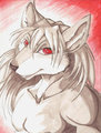 Ghost wolf