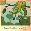 Green Brazilian Fly Eater
