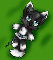 Baby Fox Doll