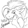 I derped