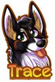 HolloFox Badge