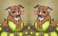 Tennis ball commission for Luminaria