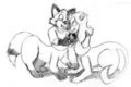 Grooming