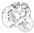 Sleeping Kittens