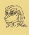 Badger bust