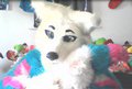 Happy Fursuit Friday! by Xoferif