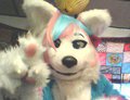 Fursuit Friday! by Xoferif