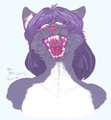 catmaw by arale