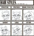 Hairstyle Meme