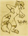 Awesome gift from Kayote by Williamca