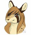 cookie head shot. by AdonisTox