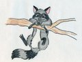 Tree-hangin' Coon by katamarimlps by FoxWolfie